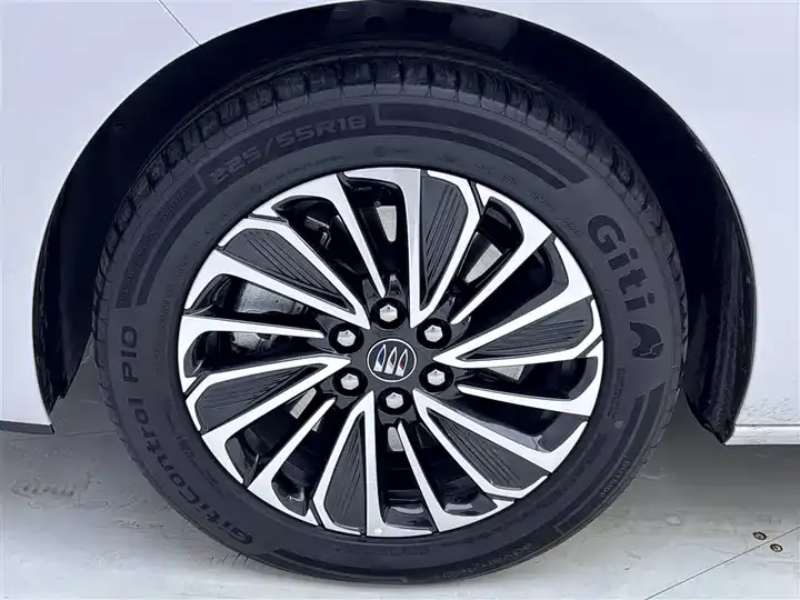 Buick GL8 New Energy 2025 Lu Shang Exclusive Edition 11