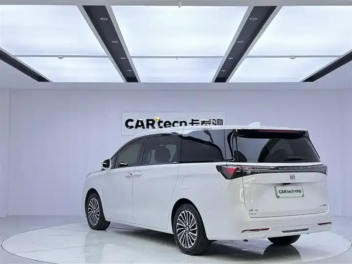 Buick GL8 New Energy 2025 Lu Shang Exclusive Edition 7