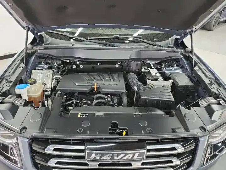 Haval Big Dog 2021 1.5T DCT Two-Drive Border Pastoral Edition 10