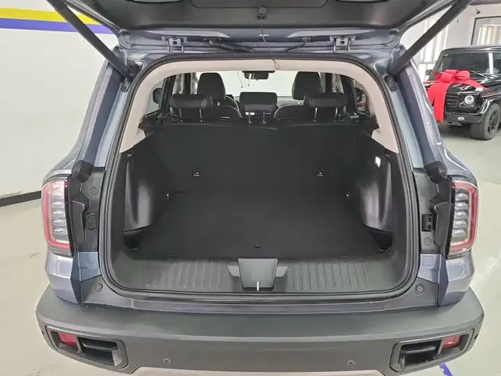 Haval Big Dog 2021 1.5T DCT Two-Drive Border Pastoral Edition 4