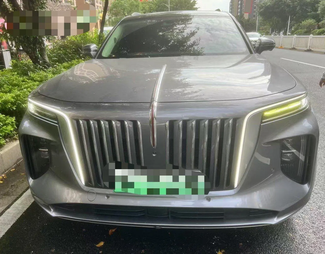 HongQi 2021 E-HS9 Flag Chang 6-seat Automatic 2