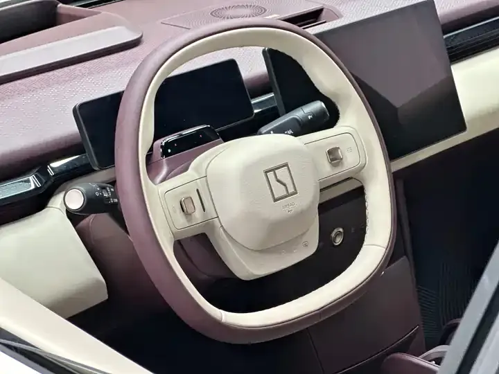 Zeekr X 2025 five-seat rear drive version 12