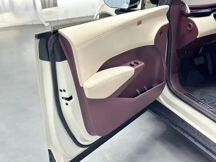 Zeekr X 2025 five-seat rear drive version 9