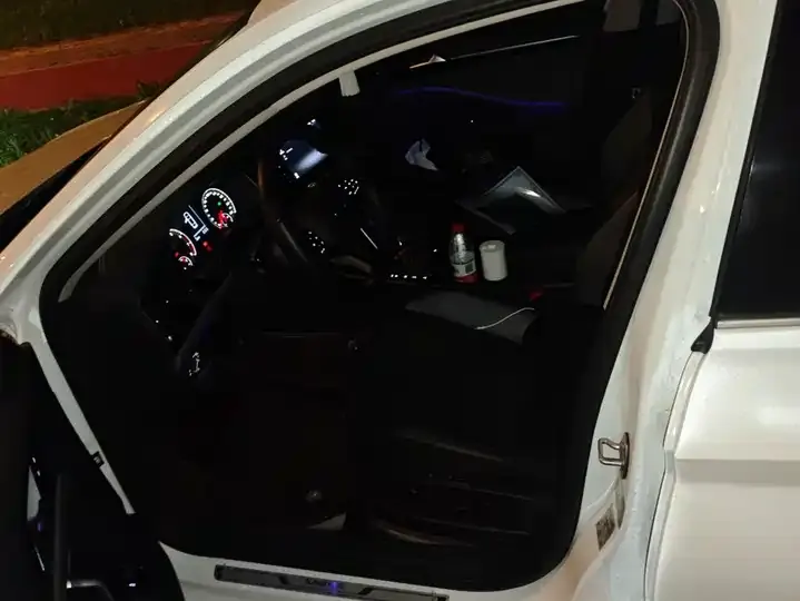 Sagittarius 2020 280TSI DSG Luxury Country VI 9