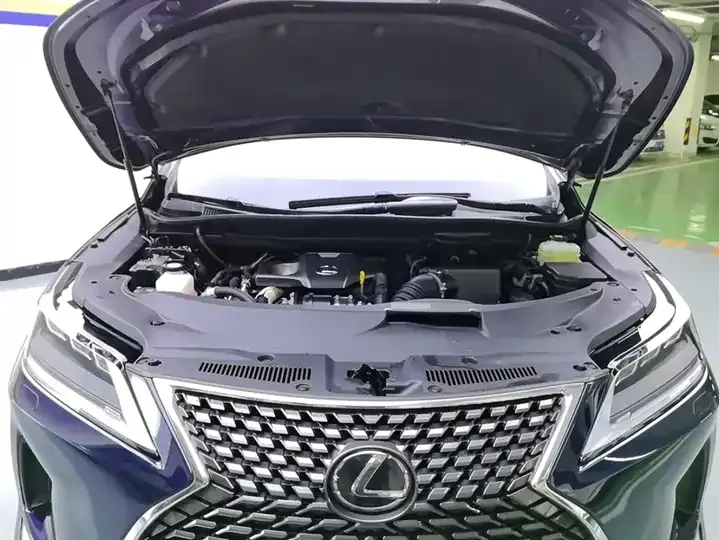 Lexus RX 2020 model modified 300 four-wheel drive elegant version 10