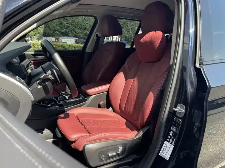 BMW X3 2022 xDrive30i Leading M Obsidian Night Suit 6