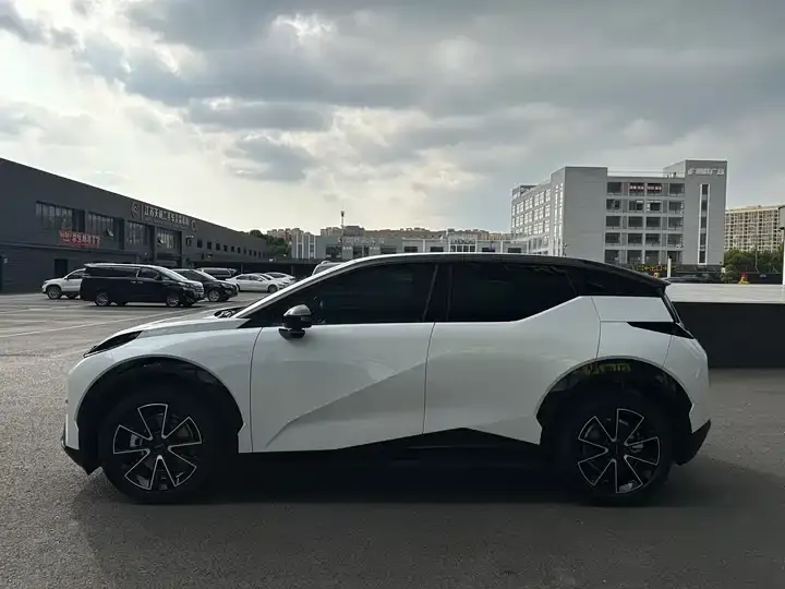 Zeekr X 2023 rear drive YOU version 4 seats 4