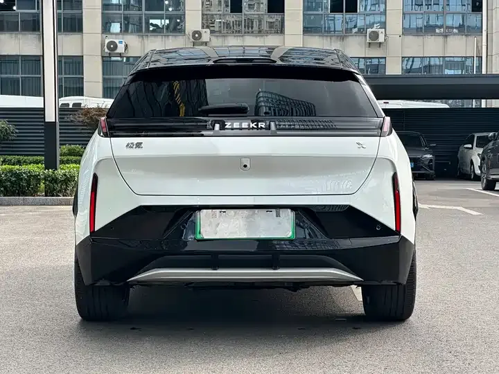 Zeekr X 2023 rear drive YOU version 4 seats 6