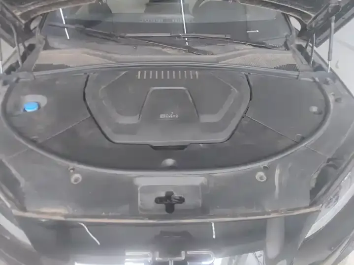 Song PLUS New Energy 2023 Champion Edition DM-i 150KM Flagship PLUS 10