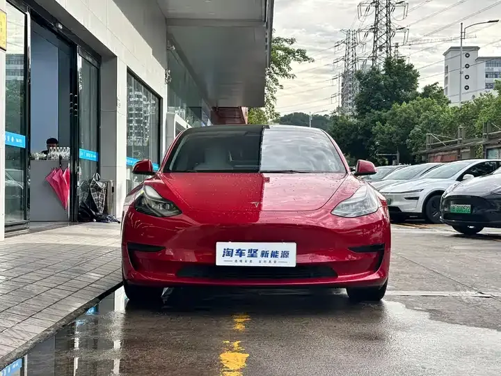 2022 Model 3 Rear-Wheel Drive Version 4
