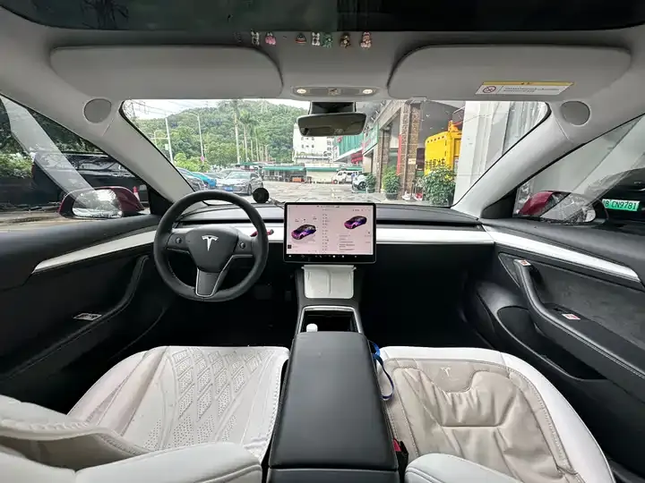 2022 Model 3 Rear-Wheel Drive Version 7