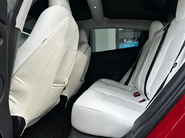 2022 Model 3 Rear-Wheel Drive Version 8