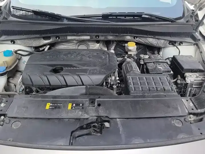 Chuanqi GS4 PLUS 2021 270T Auto Star Edition 10