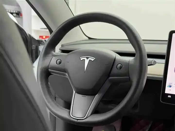 Model 3 2021 Standard Endurance Rear Drive Upgrade 11