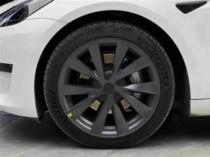 Model 3 2021 Standard Endurance Rear Drive Upgrade 4