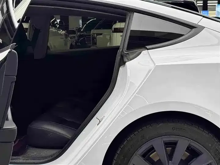 Model 3 2021 Standard Endurance Rear Drive Upgrade 7