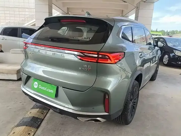 Xingtu Lingyun 2024 300T Two-Drive Xingyao Edition 7