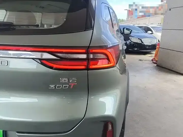 Xingtu Lingyun 2024 300T Two-Drive Xingyao Edition 8