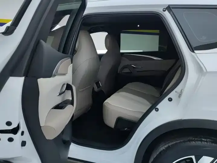 Song Pro New Energy 2024 Glory Edition DM-i 110KM Excellence 11