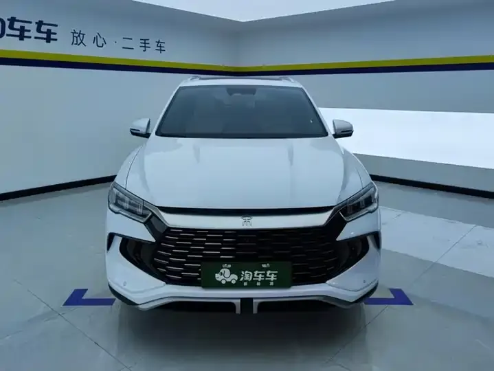 Song Pro New Energy 2024 Glory Edition DM-i 110KM Excellence 2