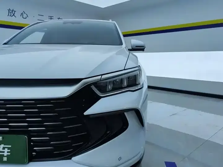 Song Pro New Energy 2024 Glory Edition DM-i 110KM Excellence 5