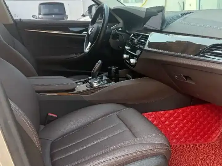 BMW 5 Series 2020 525Li Deluxe Suit 6