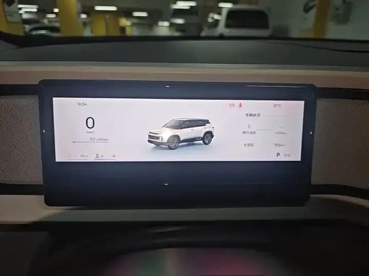 Geely ICON 2026 Chocolate 1.5TD Alcohol Edition 12