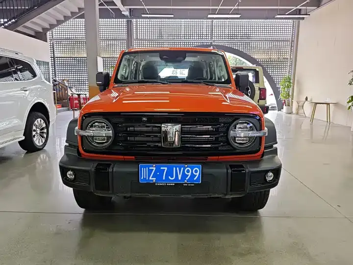 Tank 300 2025 Model 2.0T Gasoline Conqueror 2
