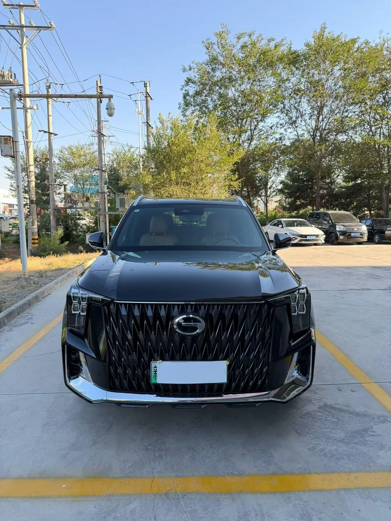 Chuanqi 2023 ES9 PHEV 2.0T 143km Max Automatic Gear 7