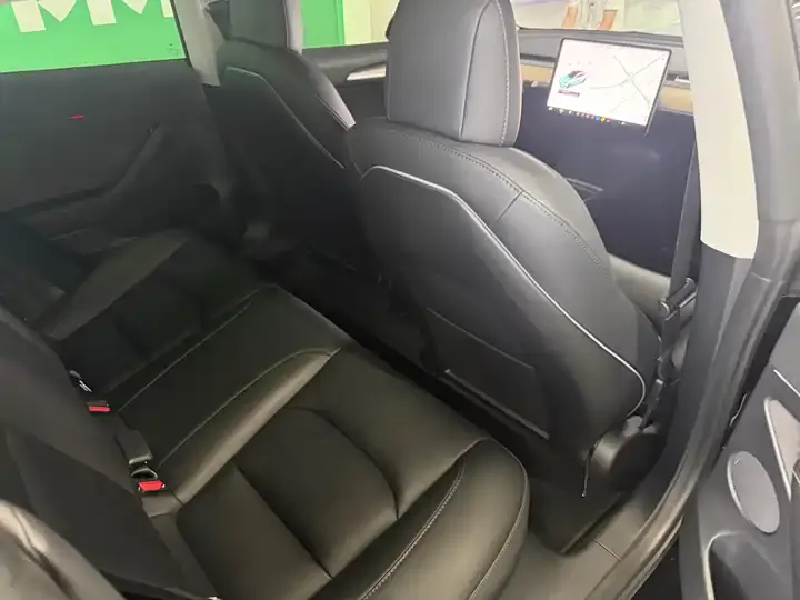 2022 Model 3 Rear-Wheel Drive Version 10