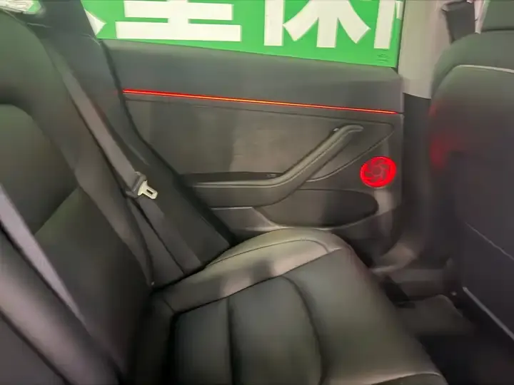 2022 Model 3 Rear-Wheel Drive Version 8
