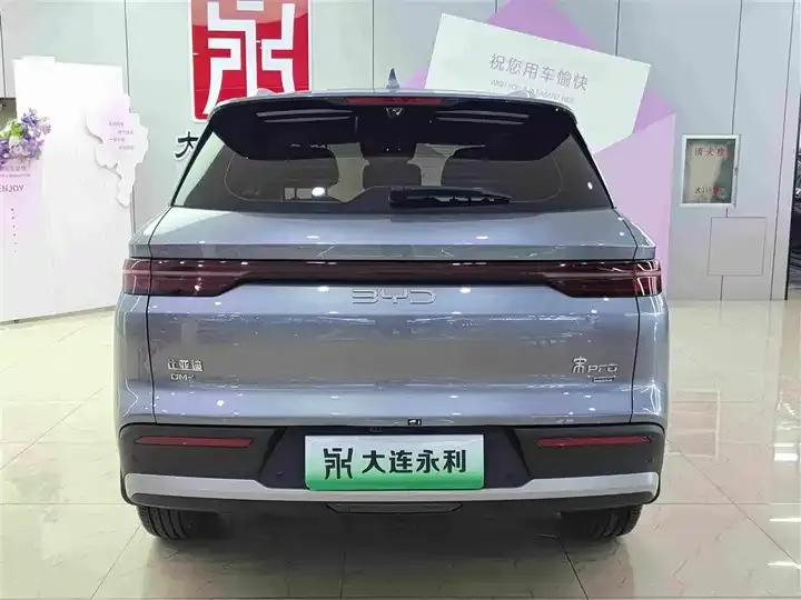 Song Pro New Energy 2025 Second Generation Smart Driving Edition DM-i 115KM Exceed 5