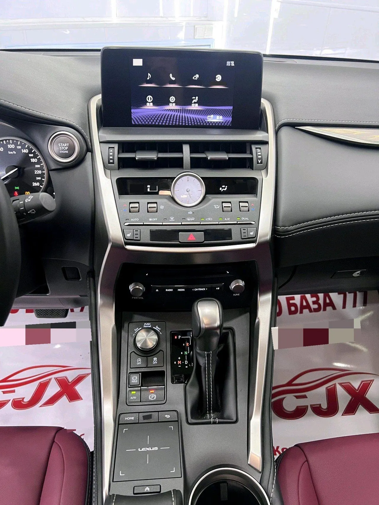 Lexus NX (Imported) 2020 NX200 2.0 Stepless Automatic Gear 10