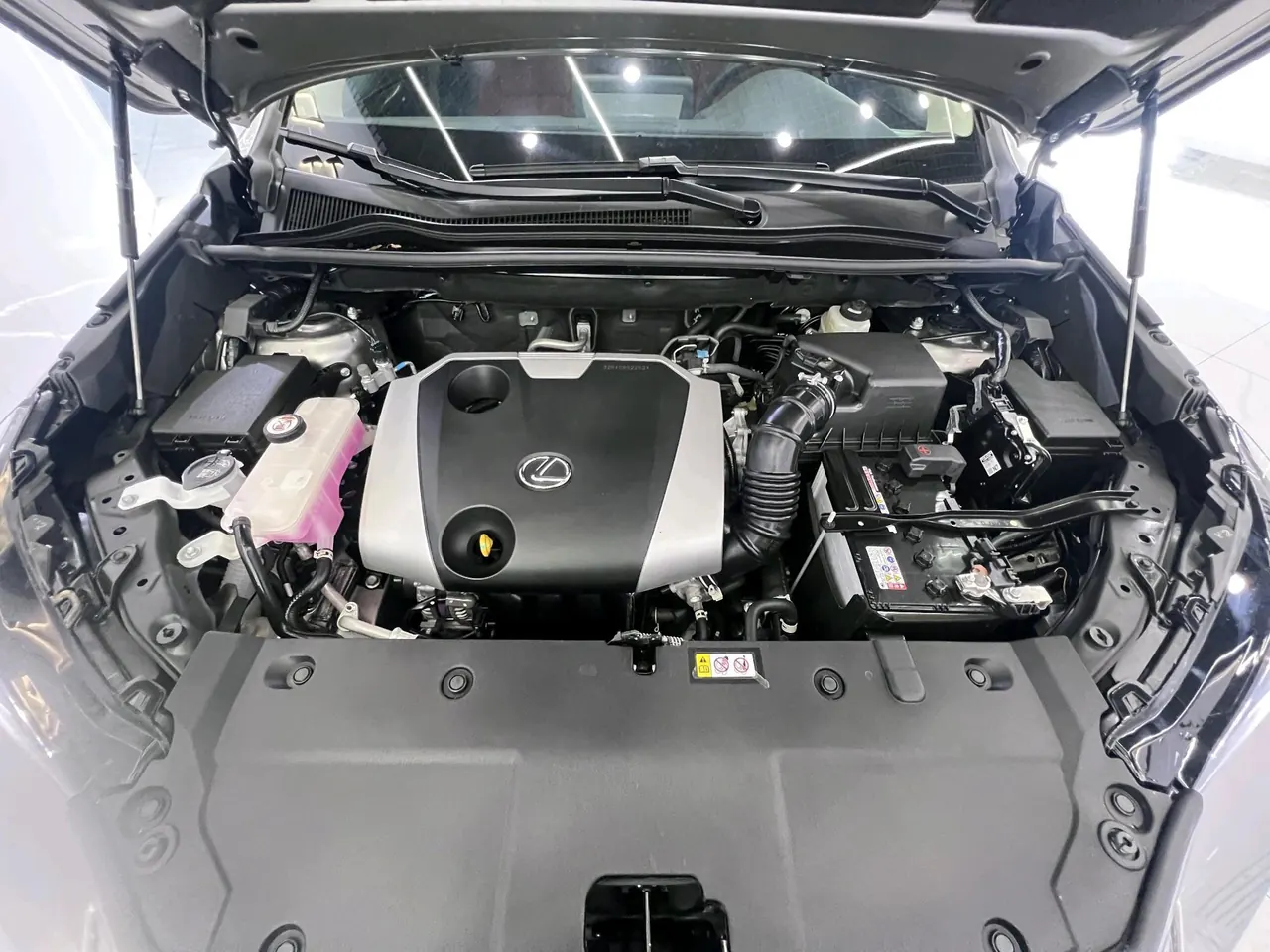 Lexus NX (Imported) 2020 NX200 2.0 Stepless Automatic Gear 15