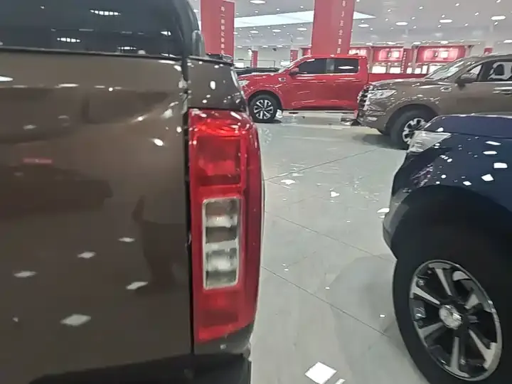 Gun 2021 2.0T Commercial Edition Automatic Diesel Four-wheel Drive Elite Standard Box GW4D20M 8