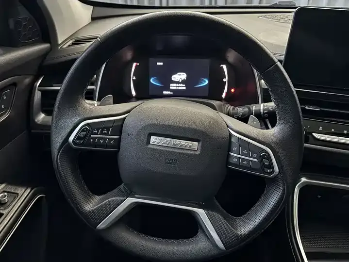 Haval H6 2021 National Tide Edition 1.5GDIT Automatic Champion Edition 12