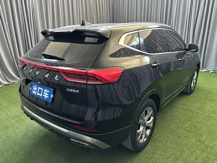 Haval H6 2021 National Tide Edition 1.5GDIT Automatic Champion Edition 5