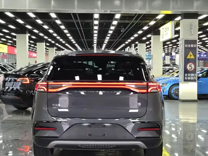 Tang New Energy 2021 DM-i 112KM Honorable Model 5
