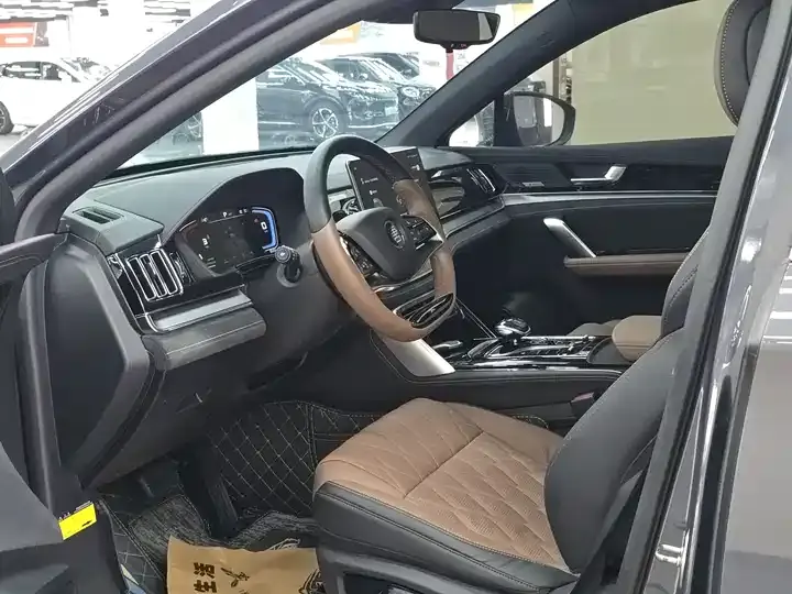 Tang New Energy 2021 DM-i 112KM Honorable Model 7