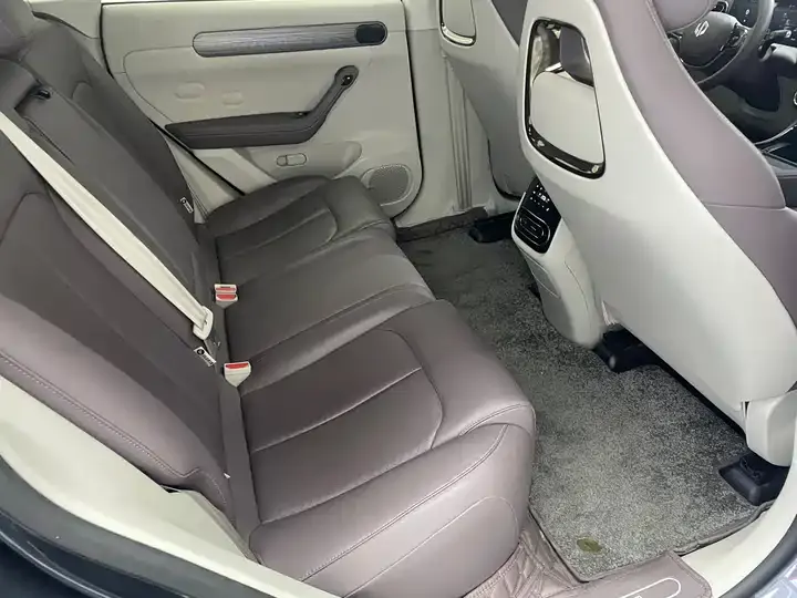 Leapmotor C11 2023 Model, All-Electric, 500km Range, Smart Edition 11