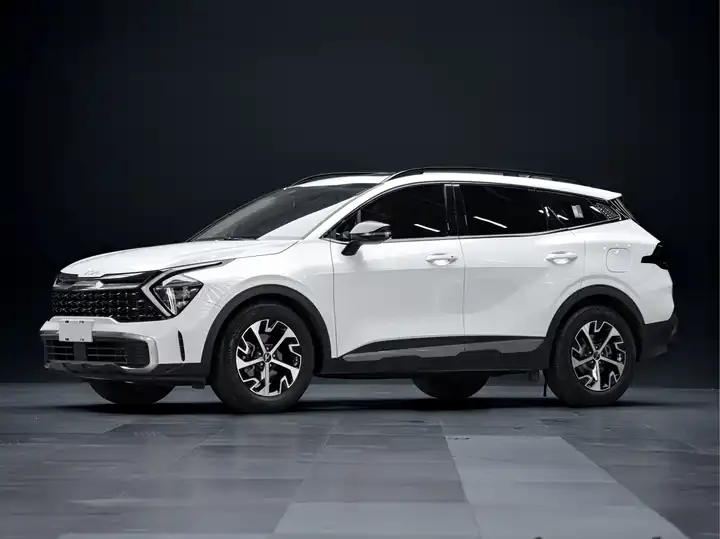 Открыть галерею: Lion Platinum Extension 2023 1.5T Two-Drive Premium Edition
