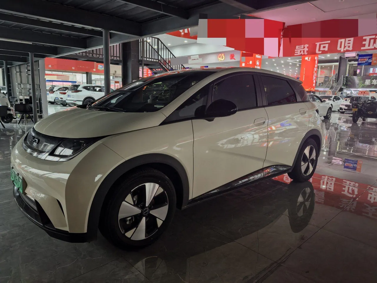 BYD 2023 Dolphins 420km Free Edition Automatic - View 1