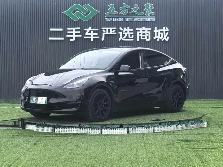 Model Y 2021 Standard Endurance Rear Drive Edition - View 1