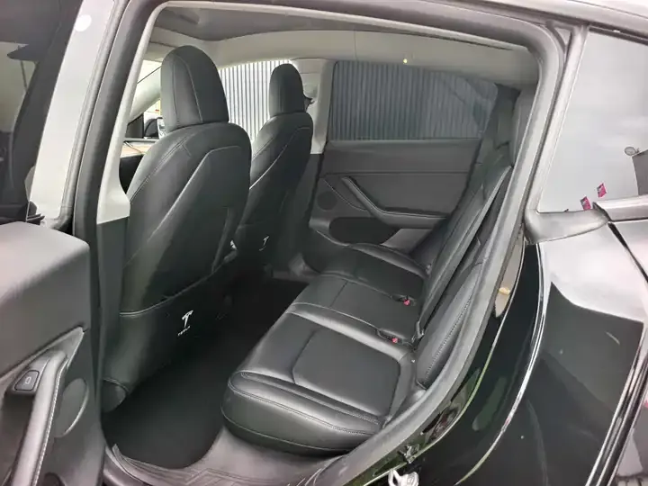 Model Y 2021 Standard Endurance Rear Drive Edition 11