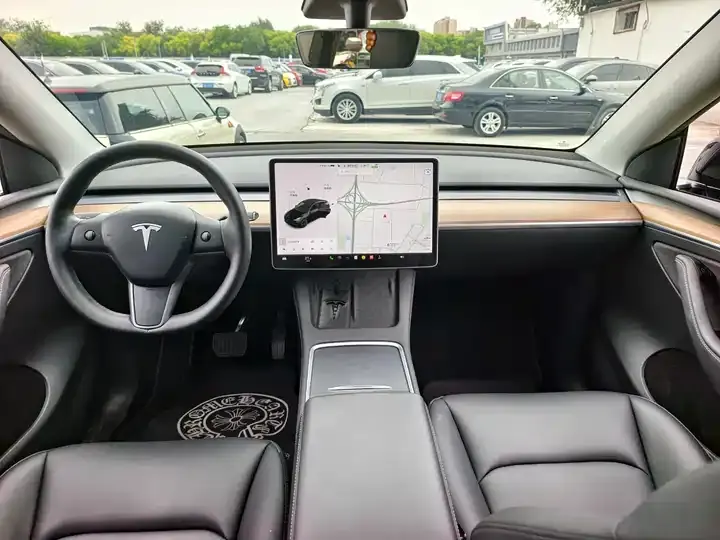 Model Y 2021 Standard Endurance Rear Drive Edition 12