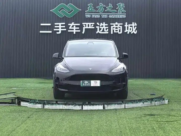 Model Y 2021 Standard Endurance Rear Drive Edition 2