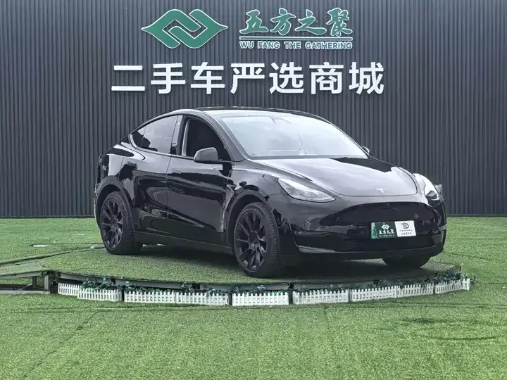 Model Y 2021 Standard Endurance Rear Drive Edition 3