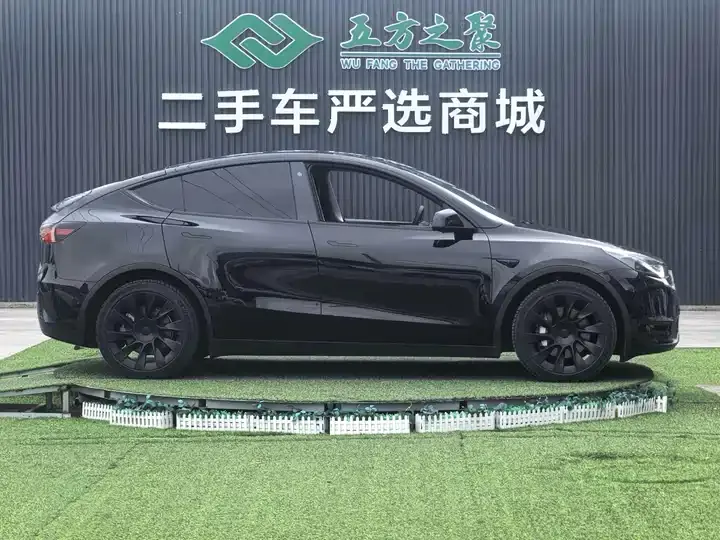 Model Y 2021 Standard Endurance Rear Drive Edition 4