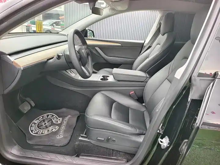 Model Y 2021 Standard Endurance Rear Drive Edition 5