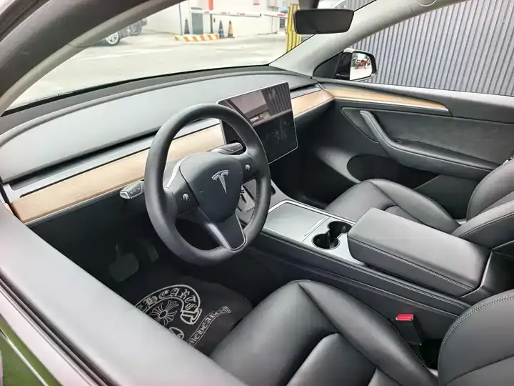 Model Y 2021 Standard Endurance Rear Drive Edition 6